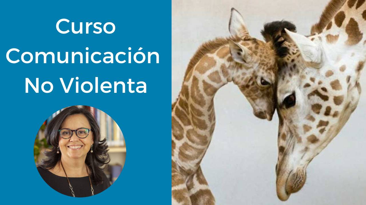 Introducción a la CNV